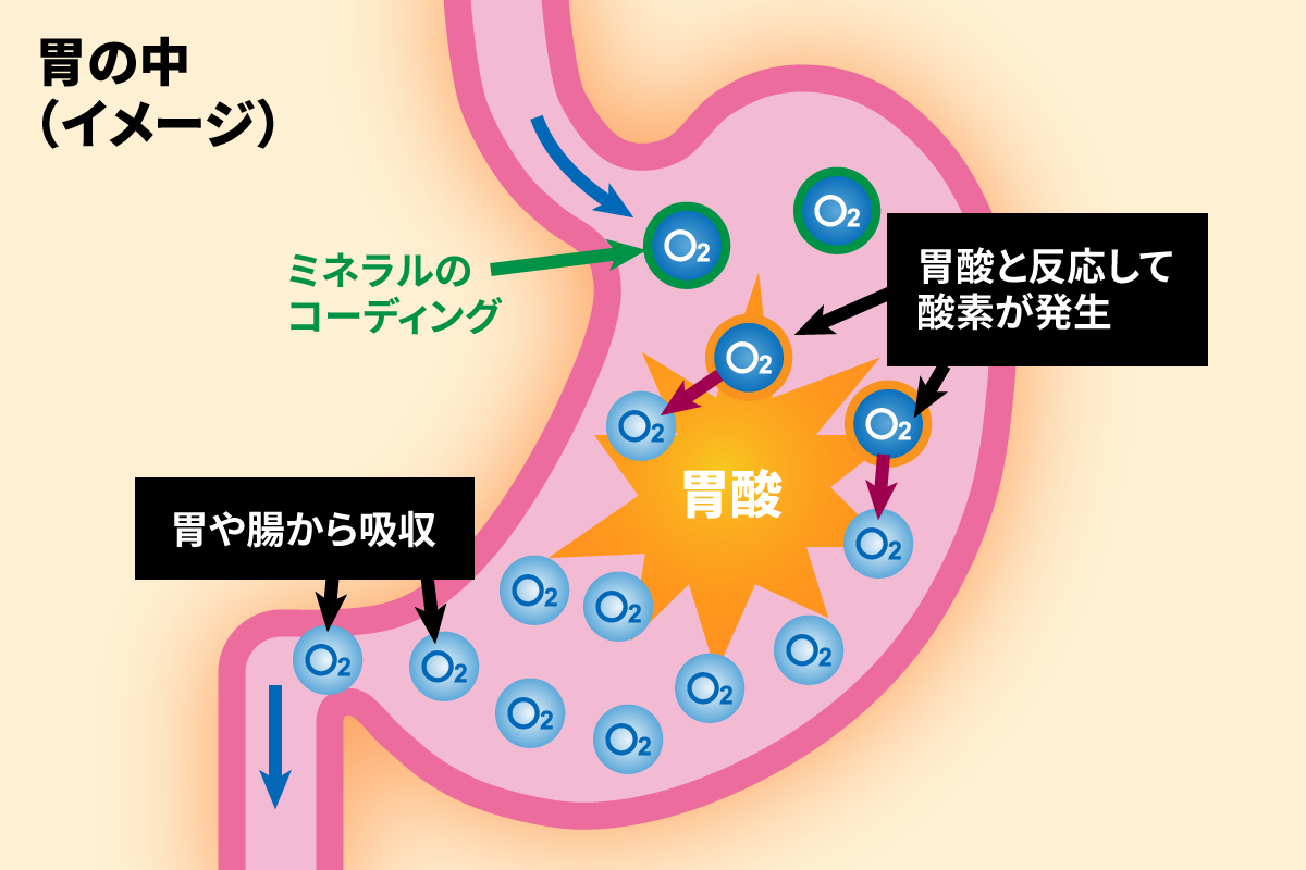 胃の中（イメージ）：ミネラルコーディングがされたO2が、胃の中で胃酸と反応して酸素が発生。胃や腸から吸収される。