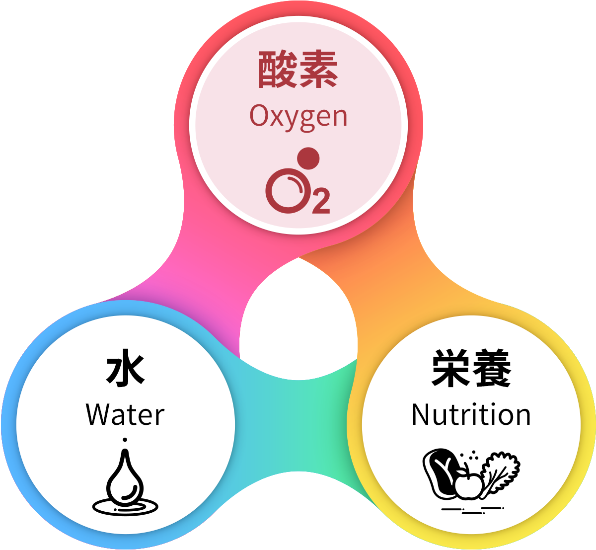 酸素（Oxygen）、水（Water）、栄養（Nutrition）、の3つのトライアングル